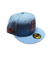 Hartford Yard Goats New Era YG Connect cap