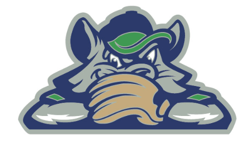 Hartford Rock Cats Lapel Pin – Hartford Yard Goats Official Store