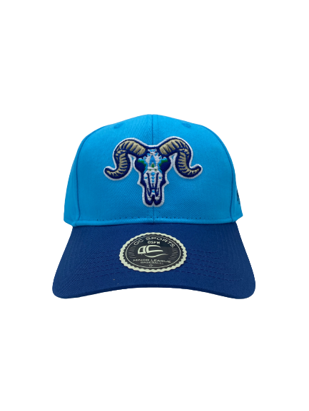 Hartford Yard Goats Official Store